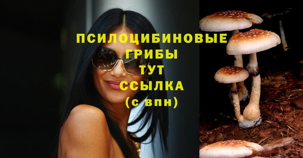 тгк Бородино