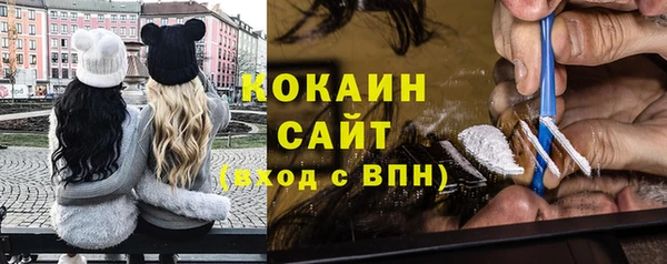 тгк Бородино