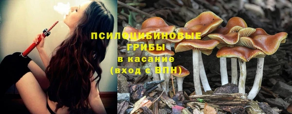 прущая мука Верхний Тагил