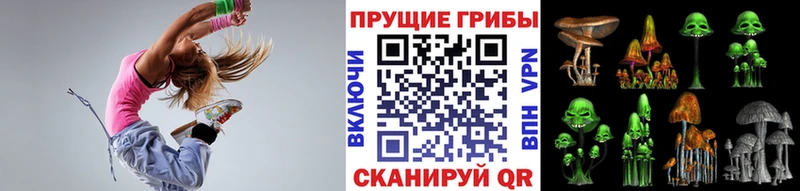 Псилоцибиновые грибы Psilocybine cubensis  как найти   Карпинск 